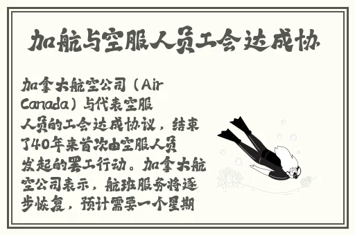 春天vlog